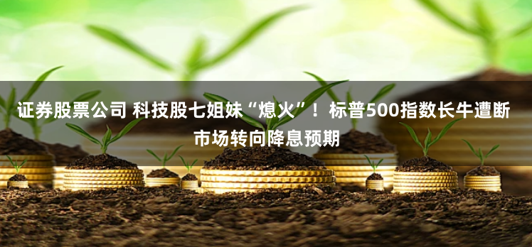 证券股票公司 科技股七姐妹“熄火”！标普500指数长牛遭断 市场转向降息预期