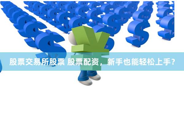 股票交易所股票 股票配资，新手也能轻松上手？