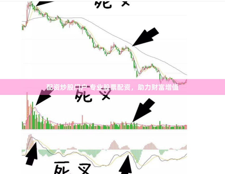配资炒股门户 专业股票配资，助力财富增值